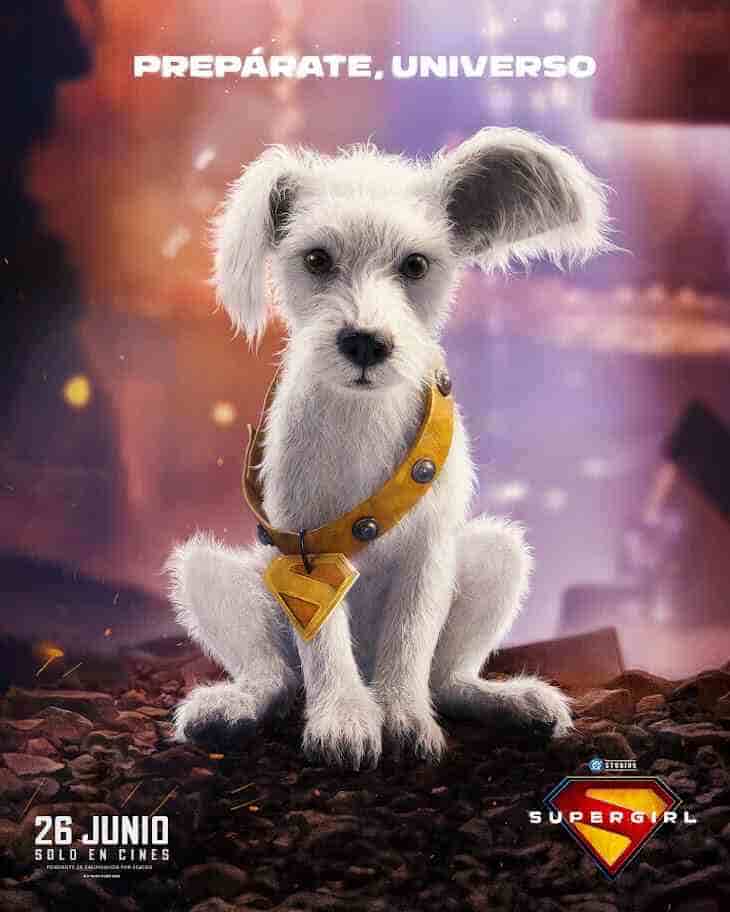 Supergirl - 2026 - Krypto - el fancine - elfancine.com - Blog de cine - Podcast de cine - Web de cine - Alvaro Garcia